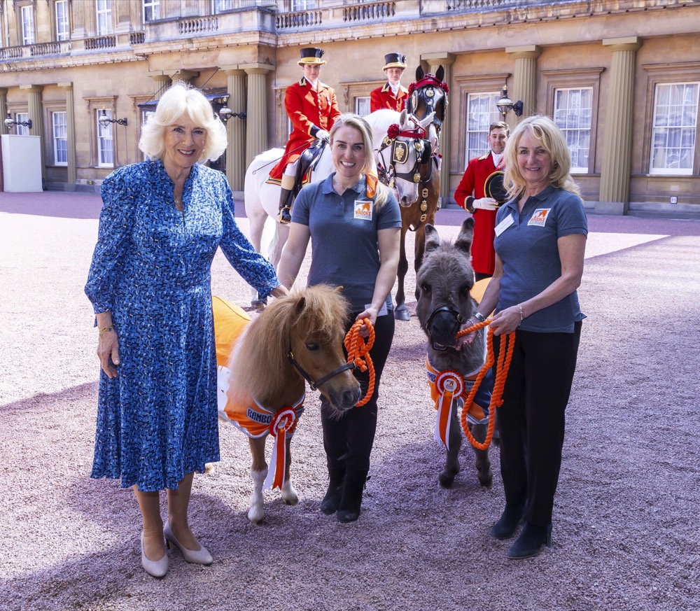 Her Majesty The Queen, alongside Brooke representatives, and Alfie (donkey) and Lala (horse. Photo credit: Ian Jones.