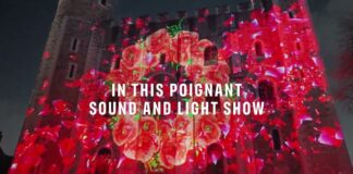 Poppy Fields at the Tower of London