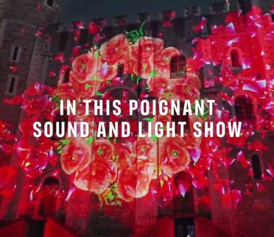 Poppy Fields at the Tower of London